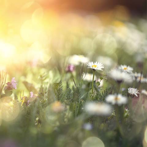 stratégie naturopathique pour accompagner la périnatalité